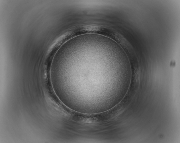 X0000113250731200909171625