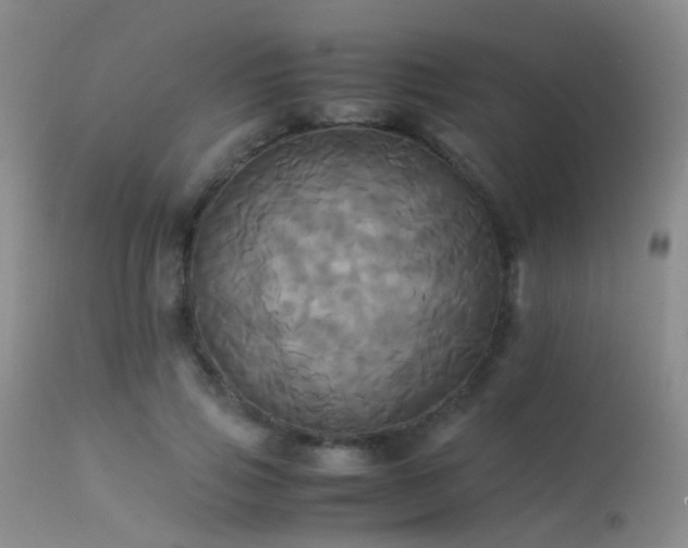 X0000113250741200909171625