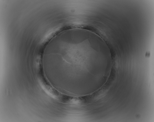 X0000113250742200909171625