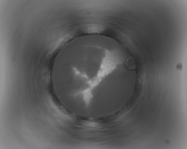 X0000113250743200909171625