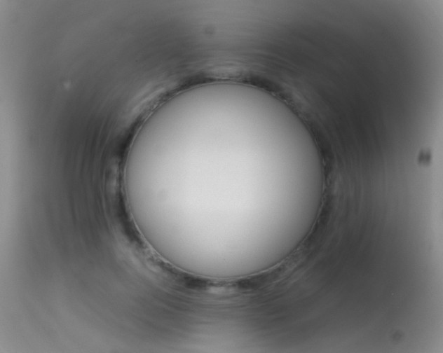 X0000113250744200909171625