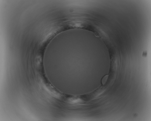 X0000113250747200909171625