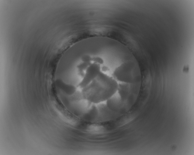 X0000113250749200909171625