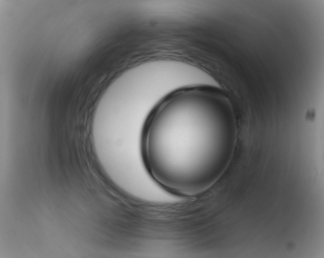 X0000113250752200909171625