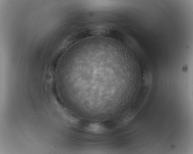 X0000113250753200909171625