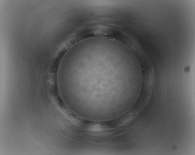 X0000113250755200909171625