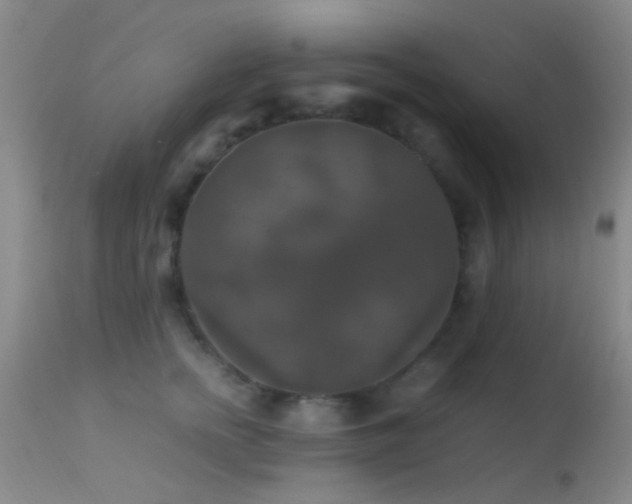 X0000113250758200909171625