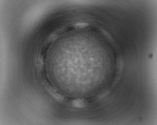 X0000113250761200909171625