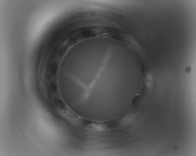 X0000113250763200909171625