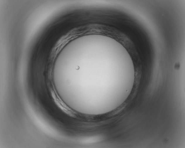 X0000113250765200909171625