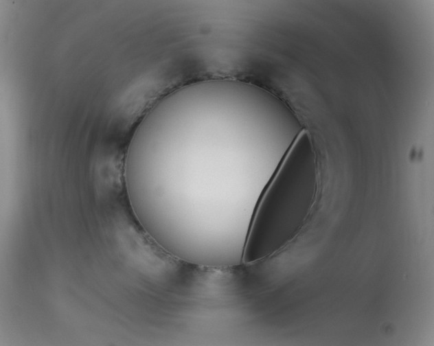 X0000113250768200909171625