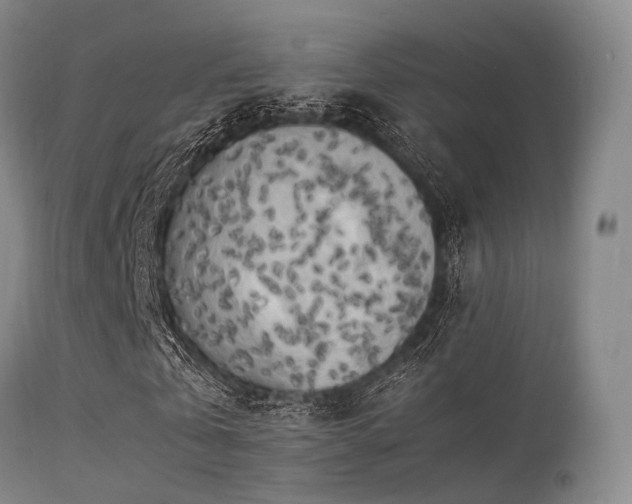 X0000113250769200909171625