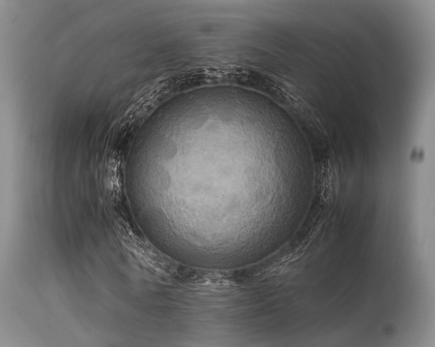 X0000113250770200909171625