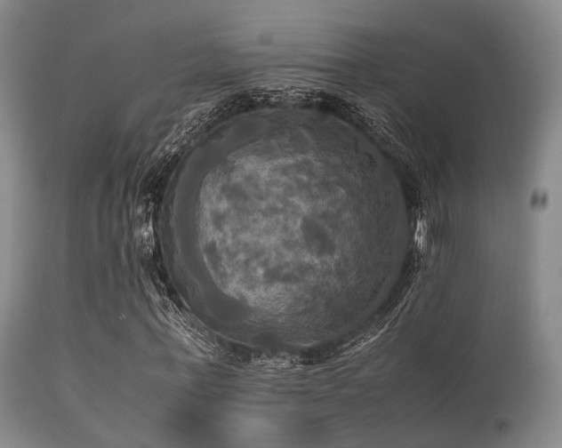 X0000113250771200909171625