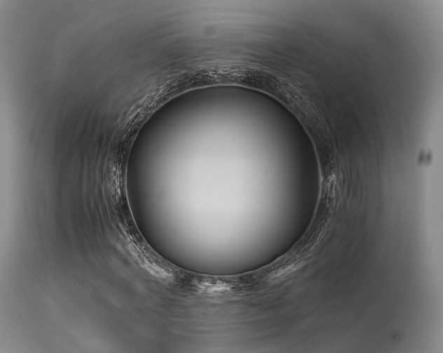 X0000113250772200909171625