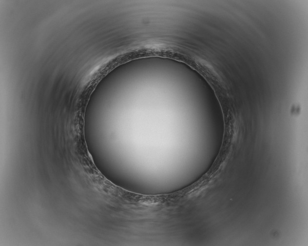 X0000113250776200909171625