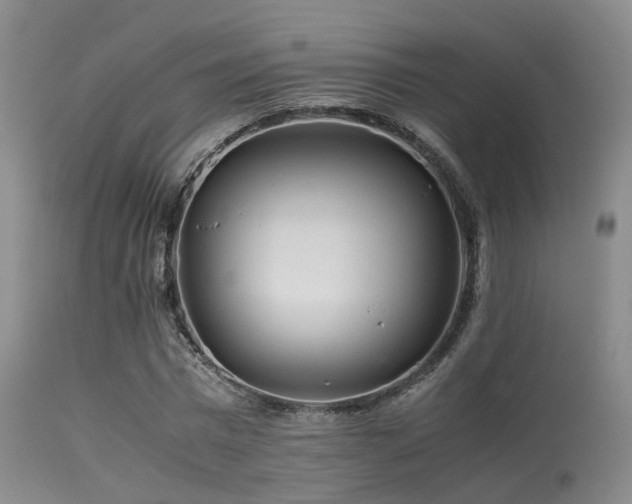 X0000113250777200909171625