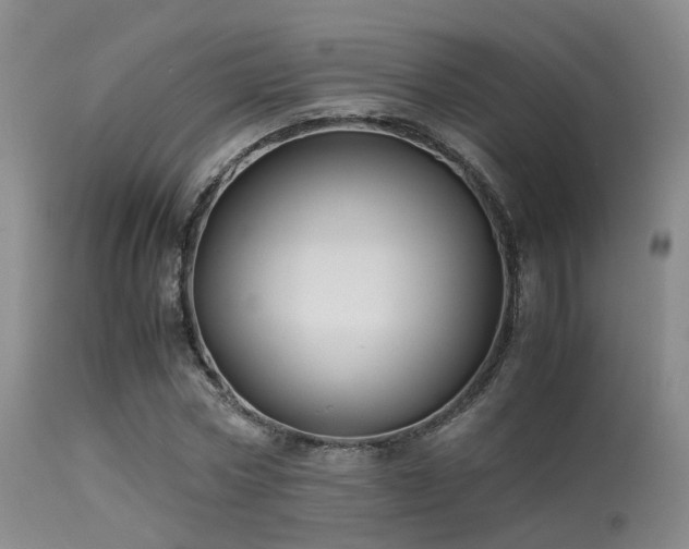 X0000113250778200909171625