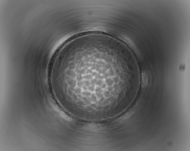 X0000113250780200909171625