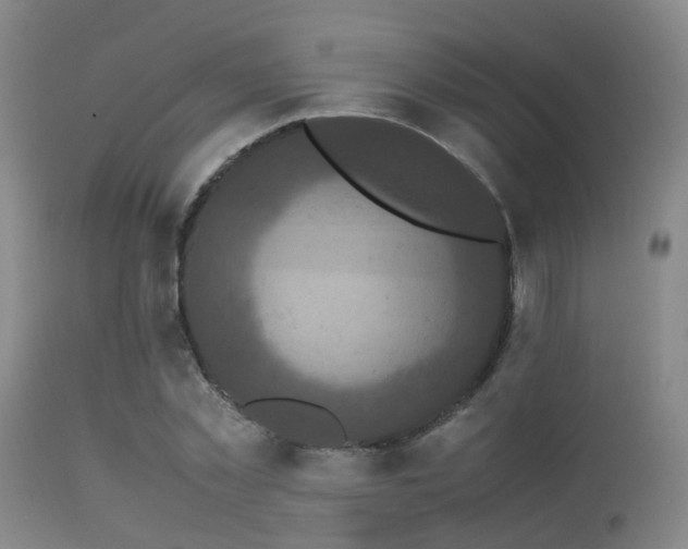 X0000113250781200909171625