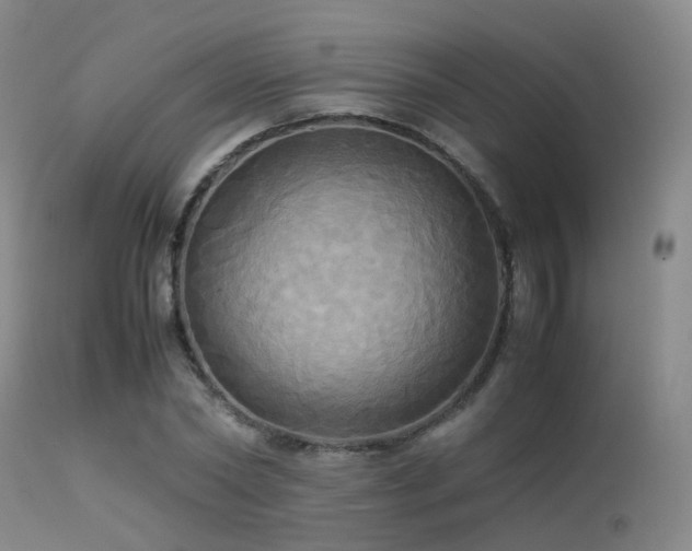 X0000113250782200909171625