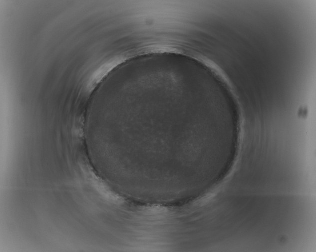 X0000113250785200909171625