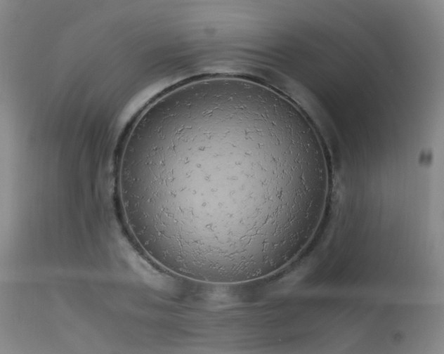 X0000113250787200909171624