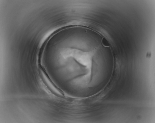 X0000113250788200909171624