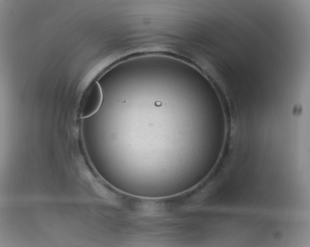 X0000113250789200909171624