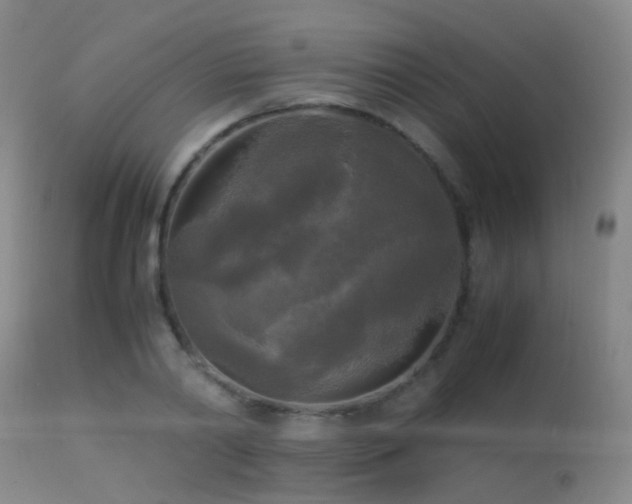 X0000113250790200909171624