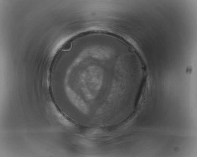 X0000113250791200909171624