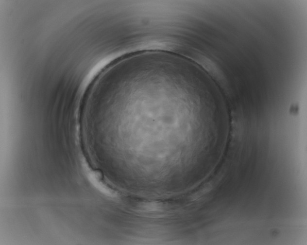 X0000113250792200909171624