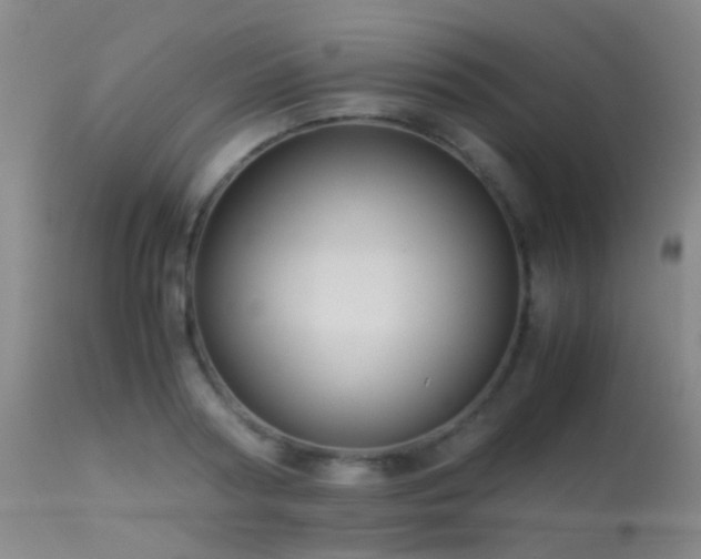 X0000113250794200909171624