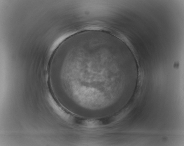 X0000113250795200909171624