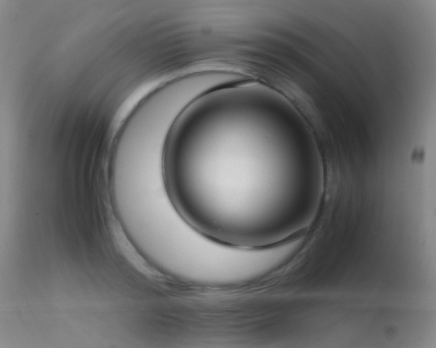 X0000113250796200909171624