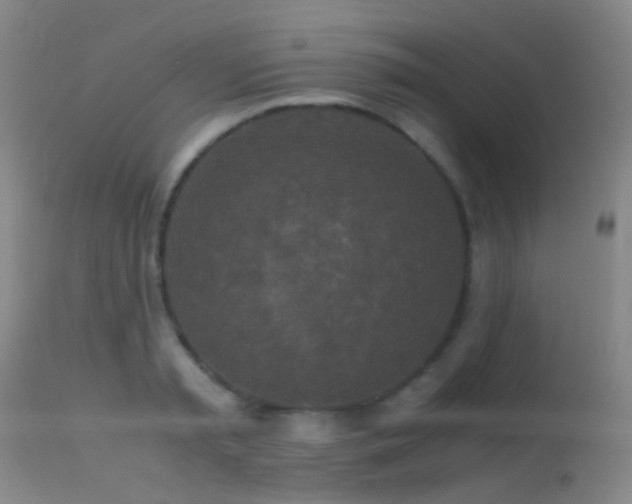 X0000113250797200909171624