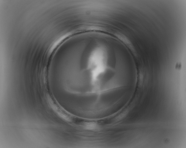 X0000113250798200909171624