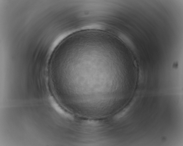 X0000113250800200909171624