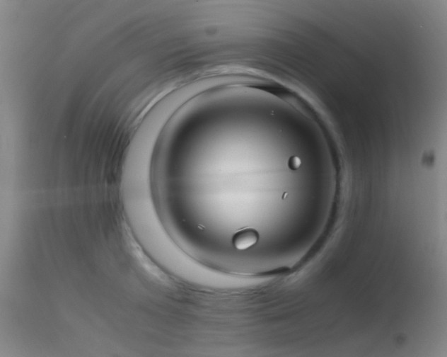 X0000113250801200909171624