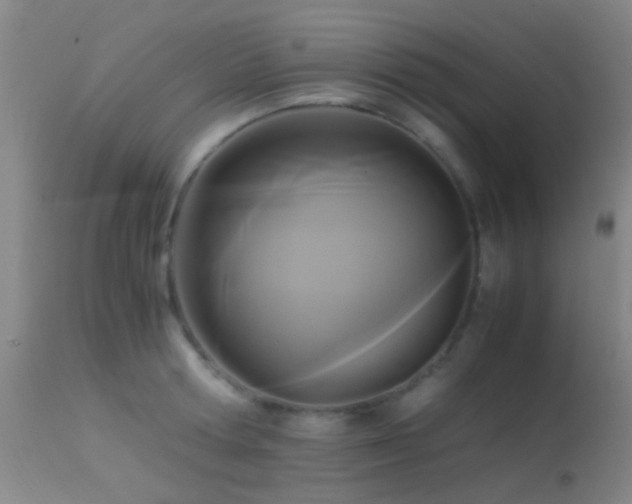 X0000113250802200909171624