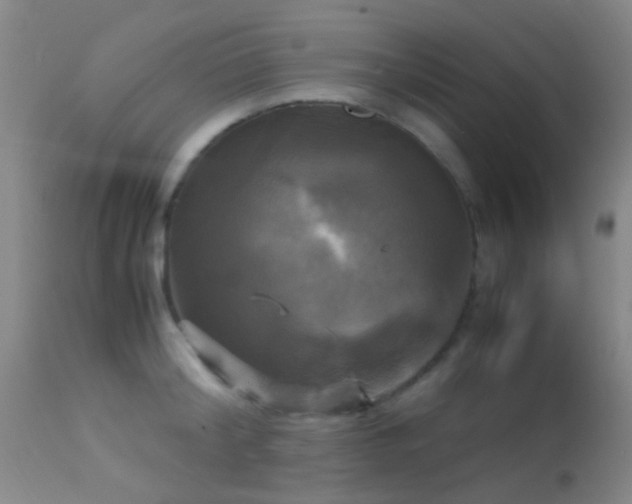 X0000113250804200909171624