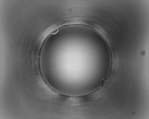 X0000113250805200909171624