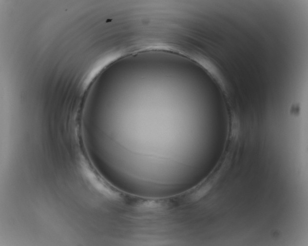 X0000113250806200909171624