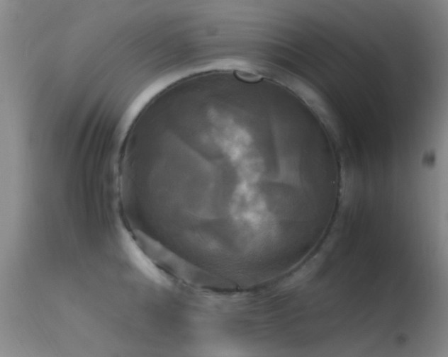 X0000113250808200909171624