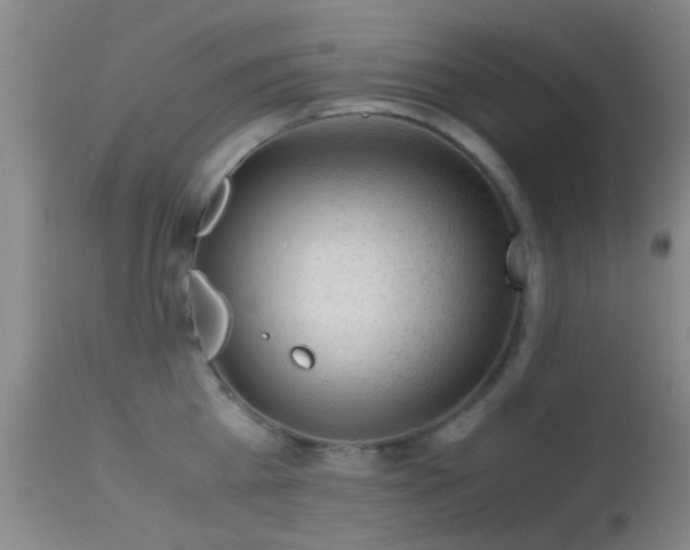 X0000113250809200909171624