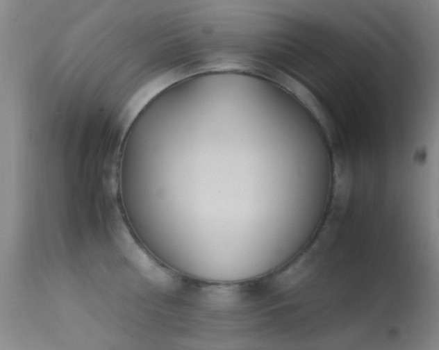 X0000113250810200909171624