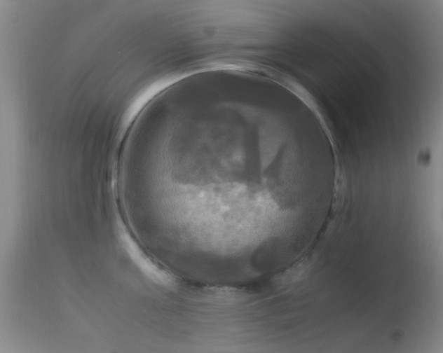 X0000113250811200909171624