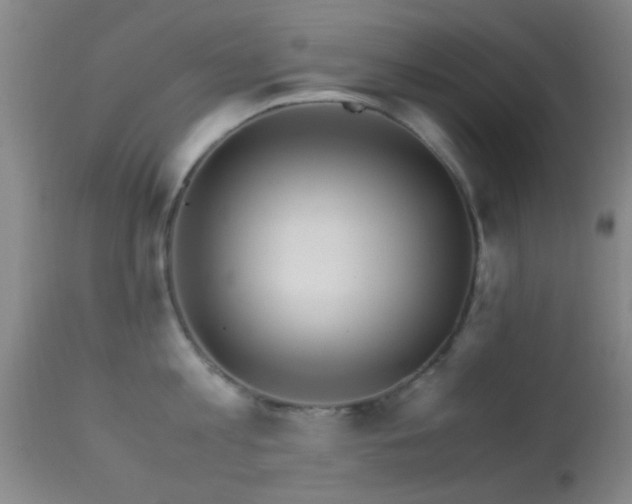 X0000113250813200909171624