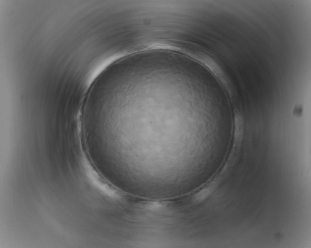 X0000113250814200909171624