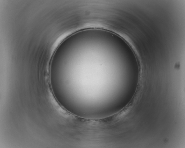 X0000113250815200909171624